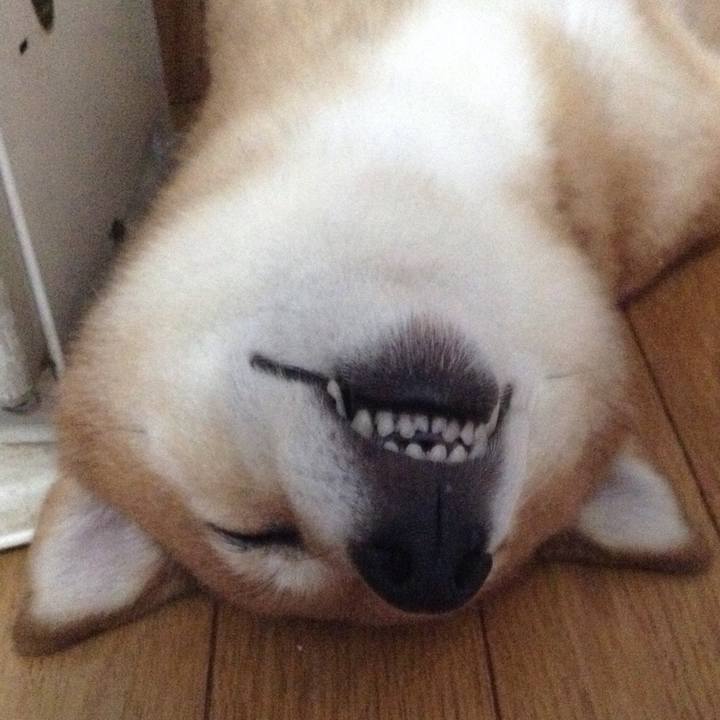 D4dcc7e5 14cf 4fea 9161 2d1ed6404599 1533354391378