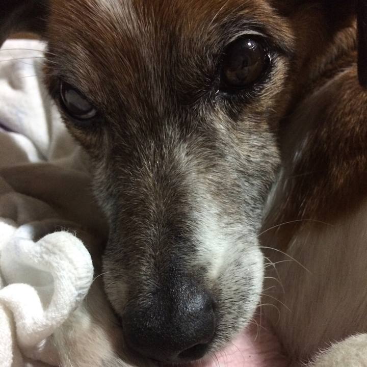 D4dcda0b b2ac 41e6 bfbe 70e16b7f519d 1523619377740