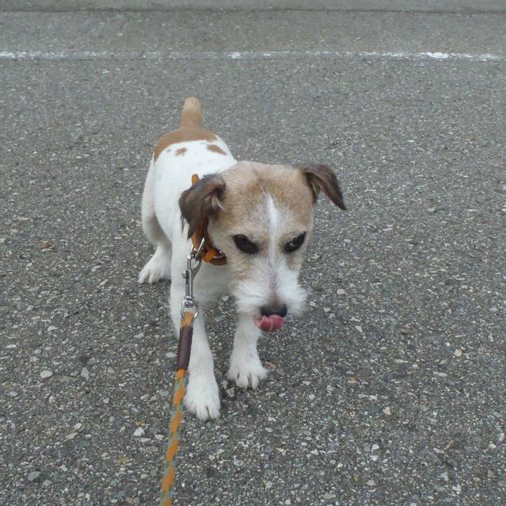 D4dcde96 06a0 42f5 a341 ee03681b6644 1538723291029