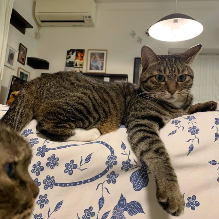 D4dcfd6e 7085 4831 9850 cbb899080d8b 1761492503424