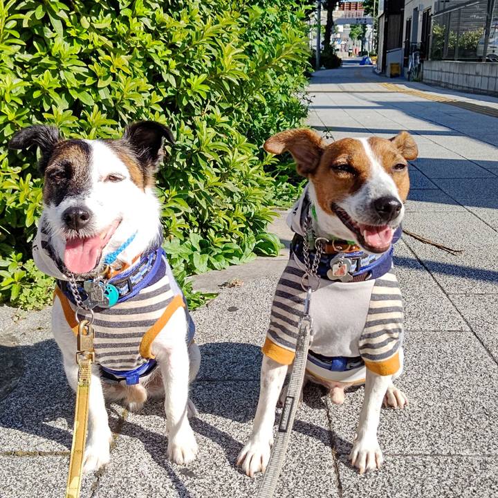 D4dd04fd 92b5 4293 bdb3 19041c3d28b6 1626560897510