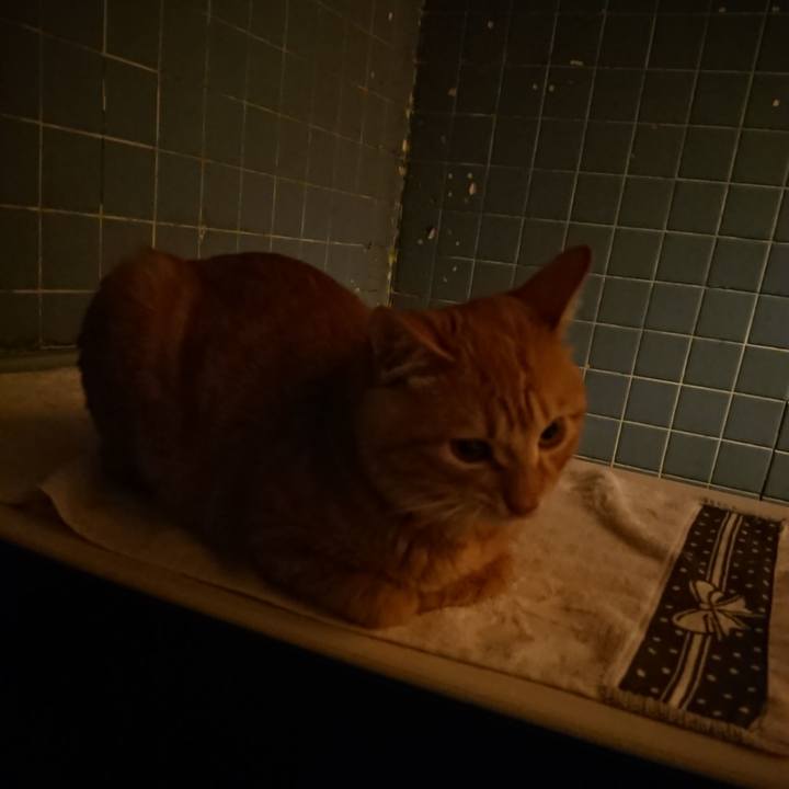 D4dd1f91 bf31 4f14 ac1e 6c9da072b352 1638614974328