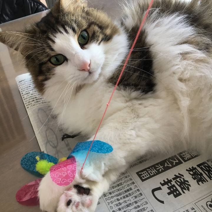 D4dd207f 5553 4223 a07c b5f0a9df89dc 1518074074321