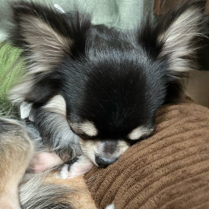 D4dd2e86 5c47 45a2 8b38 bd9a26889c9a 1611465342181