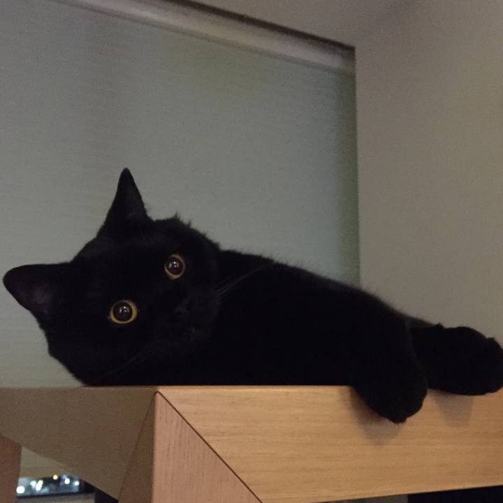 D4dd6f21 c3e6 4bc4 9deb 55533dfb2ae8 1592484511591