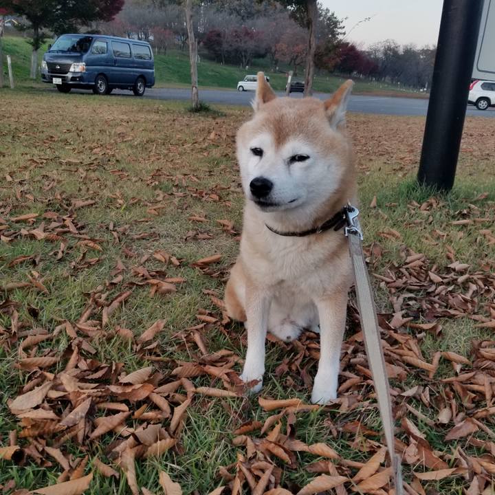 D4dd6f30 ff38 414c b2d7 985a738bd81d 1699515265296