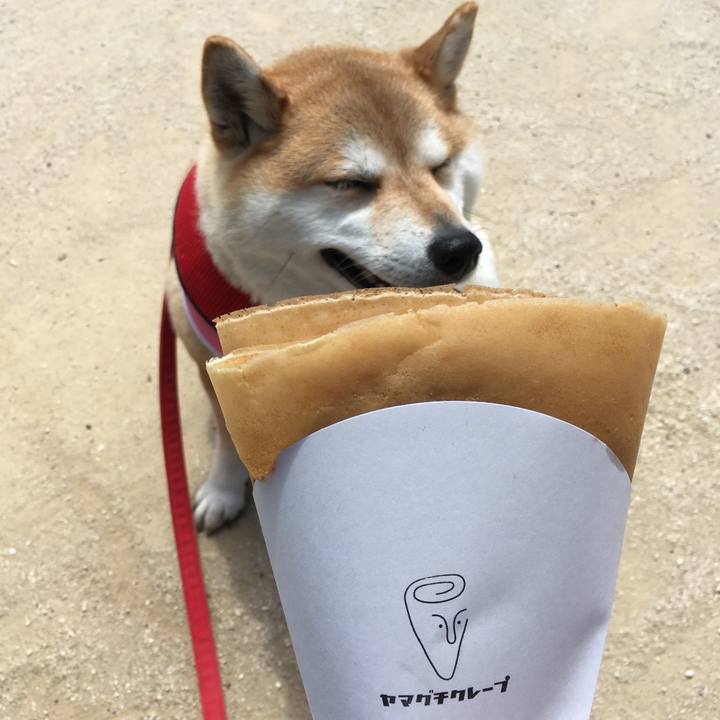 D4dd6fd9 a67d 42d2 9590 6a77a54822f9 1590811515060