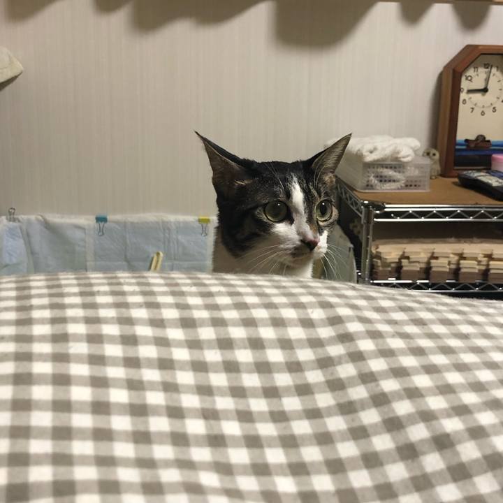 D4dd8117 fb76 4798 a619 5aabbbf48a47 1550433685543