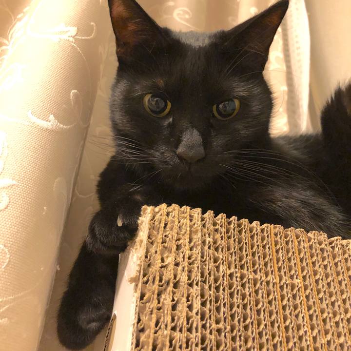 D4dd9751 7fa8 42f5 946b 8d0c48f804ef 1550407189032