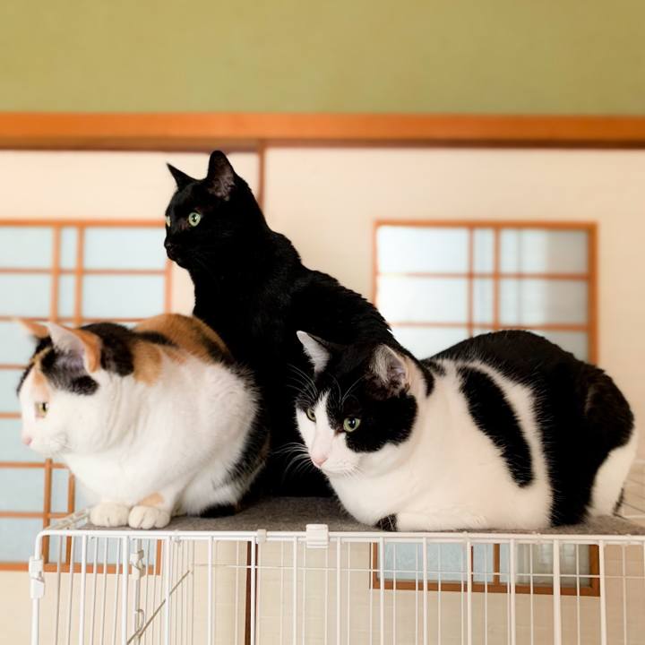 D4ddf56b d7f5 4226 a4c2 70b005bfea40 1582074868668