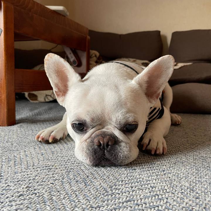 D4de0b39 5717 4000 ae32 ec6be2846558 1748648721857