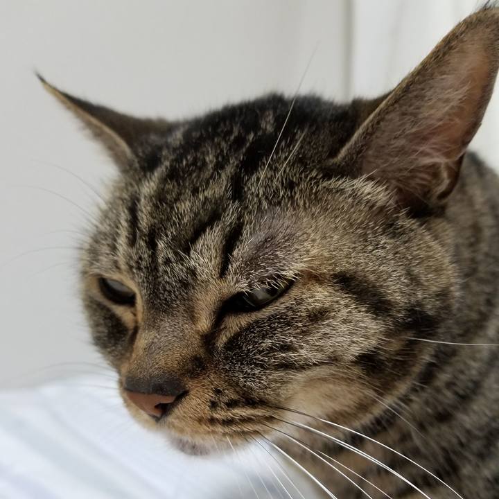 D4de0e13 b704 40f1 b24b 3d298dc7a5d2 1623705879813