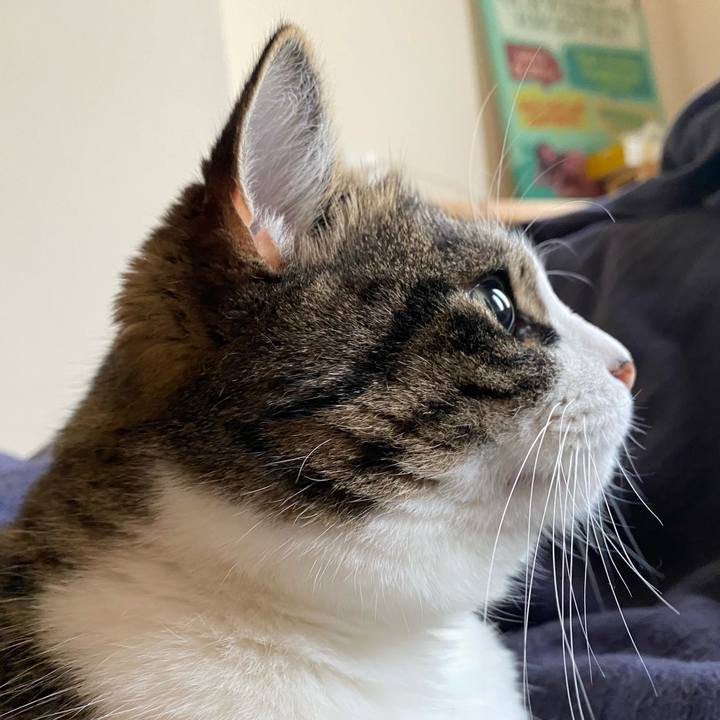 D4de1058 90b9 4de6 ad2a 23c958db8c01 1665268715978