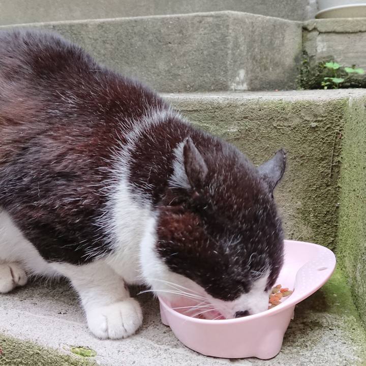 D4de46e6 329c 4edc a495 24120142c09b 1683537019056