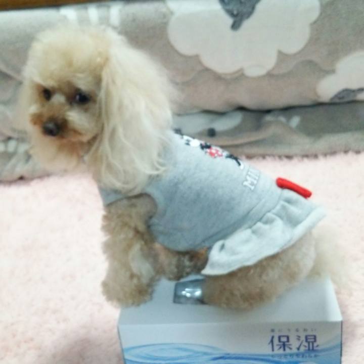 D4de59dc 033a 4b95 84c0 be3c394ea67f 1524567661749