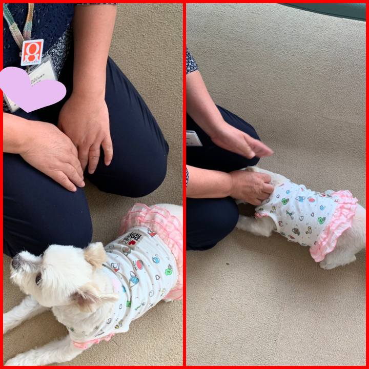 D4de7b2a aaa9 4a26 bf22 e2649c463ea0 1570453932771