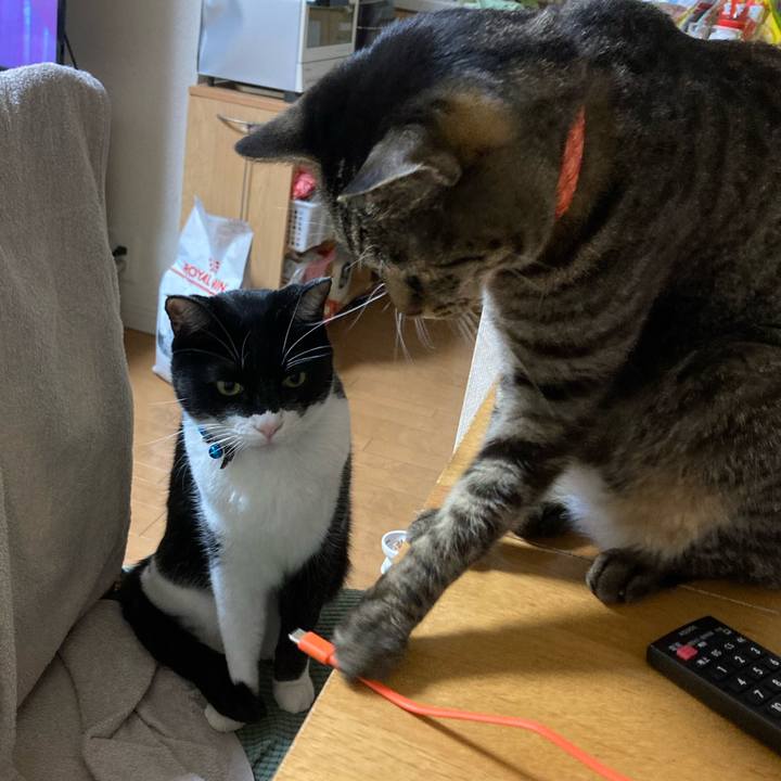 D4de7e47 ceb2 463a ba99 f2067cc06cc8 1705896134511