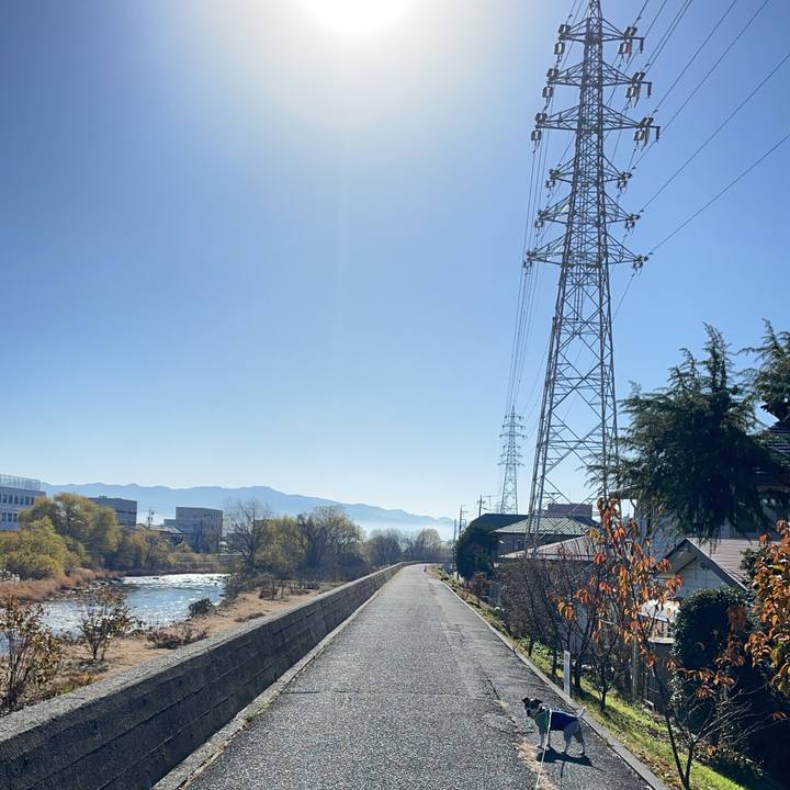 D4de8624 8ce2 45e6 8d34 1fd0ceac498f 1702121808530