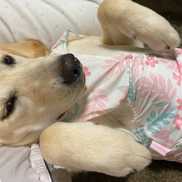 D4dea051 4e1c 493b b3c7 755bee32194e 1620384991558