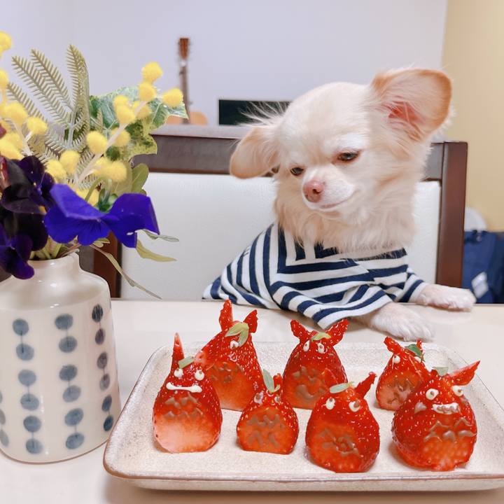 D4deb12b 62ce 4d4f b4ae 164810878c14 1675169633002