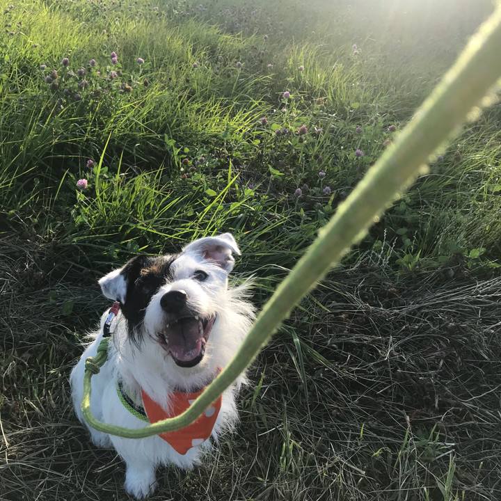 D4deba5c 3d8d 4d14 be36 52437a7af443 1530523245410