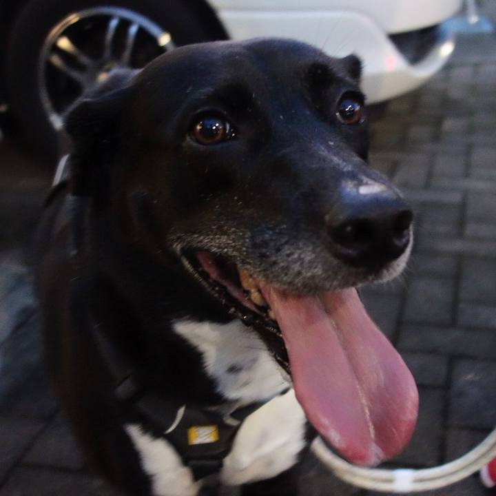 D4deea1e 375a 4a5c 9c59 af590dabd295 1662201959121