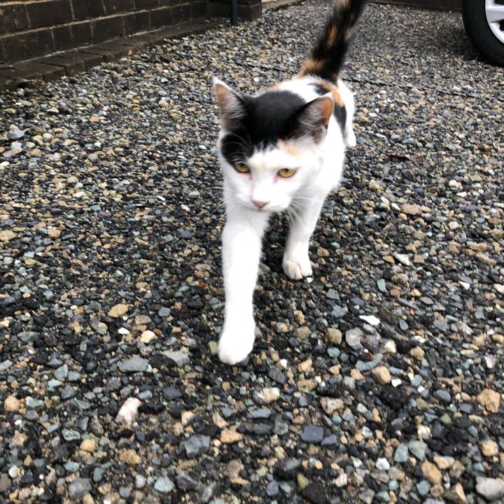 D4df0055 018a 4fb3 84aa 0837aaf6a5a0 1630706109500