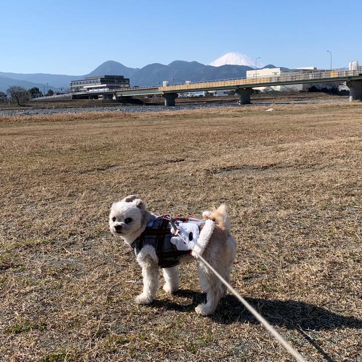 D4df12cf 6f60 4782 b2d7 0e4c4ecacf1d 1580902104902