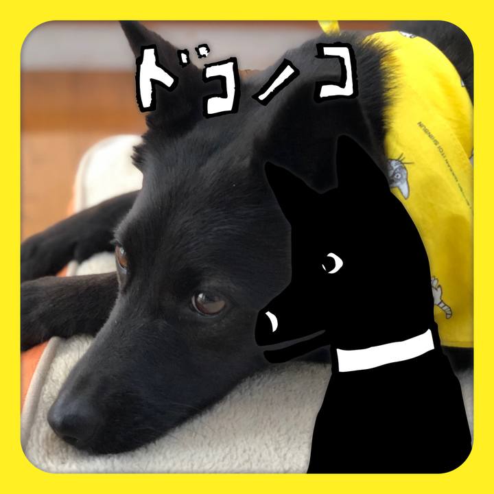 D4df20e2 8a38 4fe2 9a33 a4dfec0ed775 1623166872146