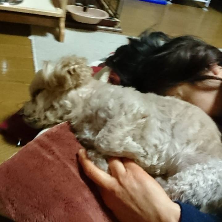 D4df4a00 d183 4e26 8274 9adabf2c645b 1576303977208