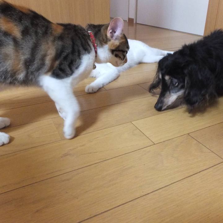 D4df4b10 d4d7 499b b5f9 a91c910c3a78 1631503593668