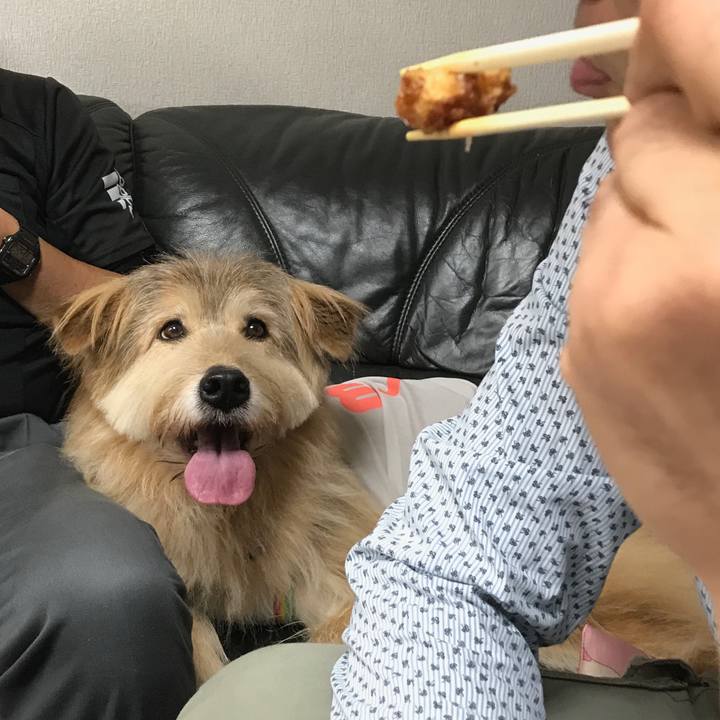 D4df6a1c ffed 4cb6 ad50 828853cfca84 1543750513805