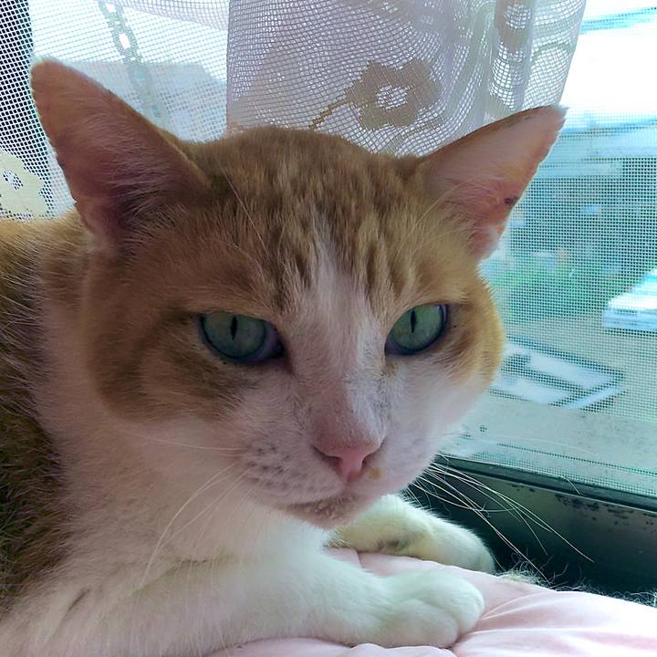 D4dfa2d9 c5d9 4779 a3b3 5ca53d03452b 1601971884951