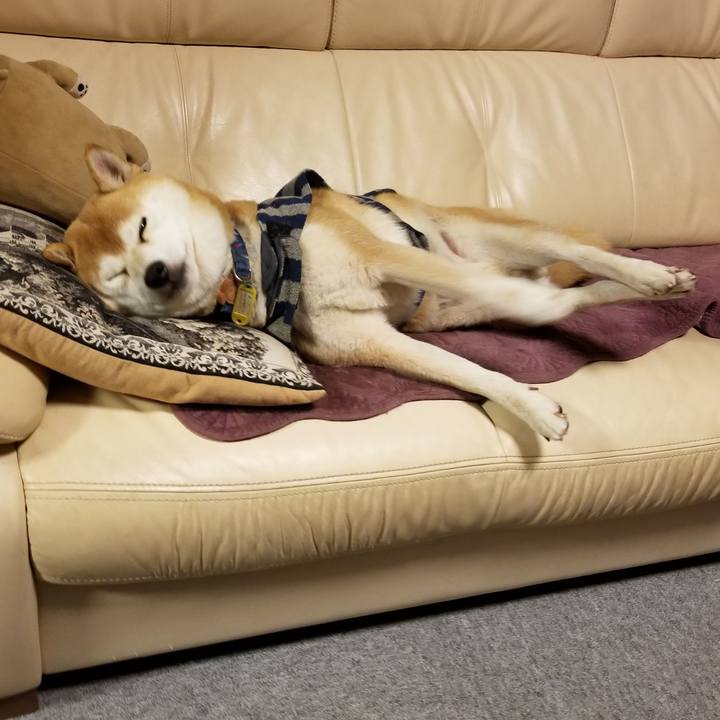 D4dfb777 ce19 429a a8f3 729067dd9dd1 1576756203145