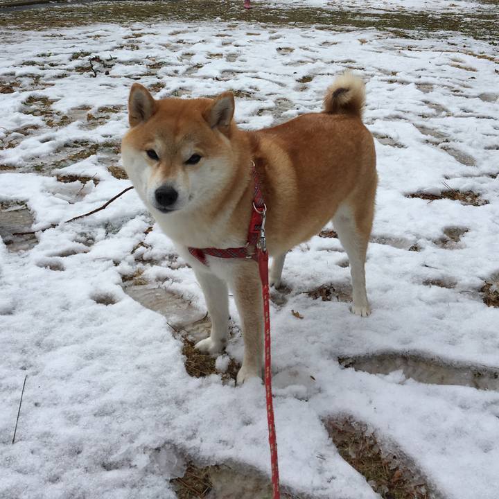 D4dfb82e ea52 46f9 8efd fc89a9691172 1518407934316