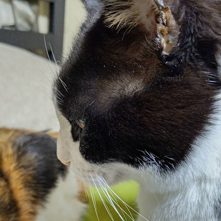 D4dfbd24 5907 4a86 b195 1838f9457470 1643465689534