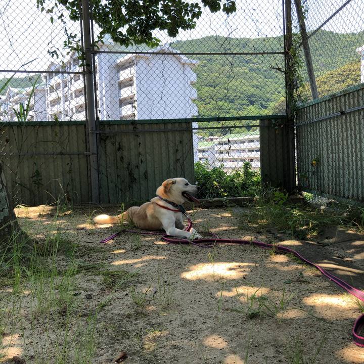 D4dff1a5 e0d1 4953 b6d2 b73017e55cb7 1623286712011