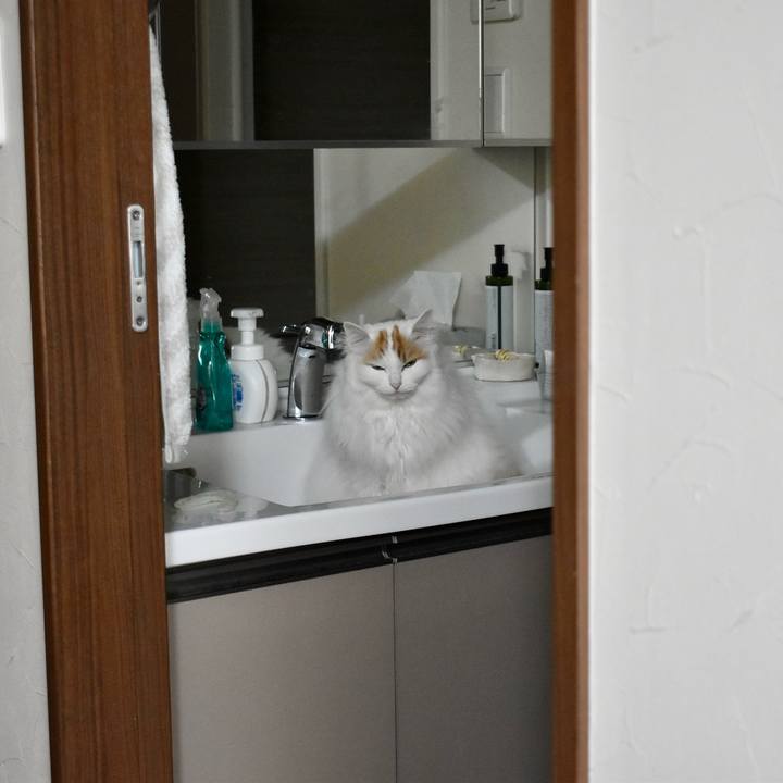 D4e0036a abda 4626 940d 282dae55b01f 1773984552750