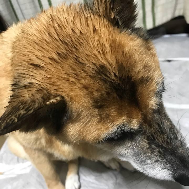 D4e01326 c4ec 4c71 967d 6a16c65cf0c0 1537960377361