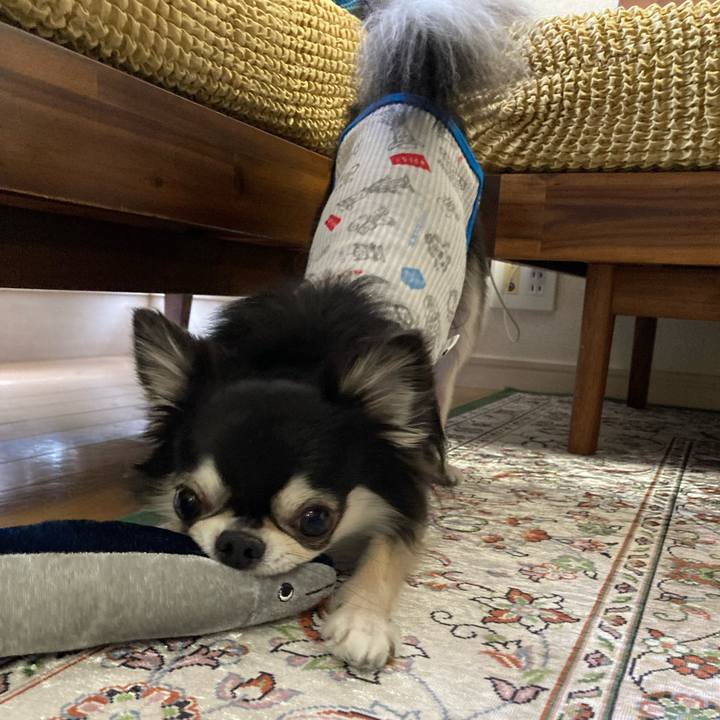 D4e01a67 95f9 4f77 8255 2fa601881b9e 1653825888144