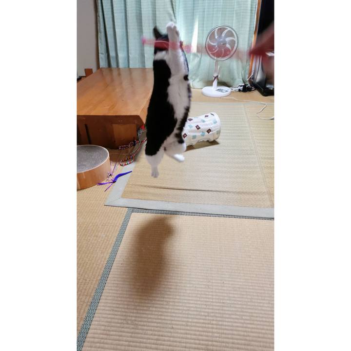 D4e02d59 a5d5 46d6 9c99 f843384a42cf 1624003968605