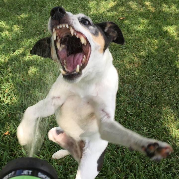 D4e040d0 976e 44ed 8173 feb6ec02c701 1567636333754