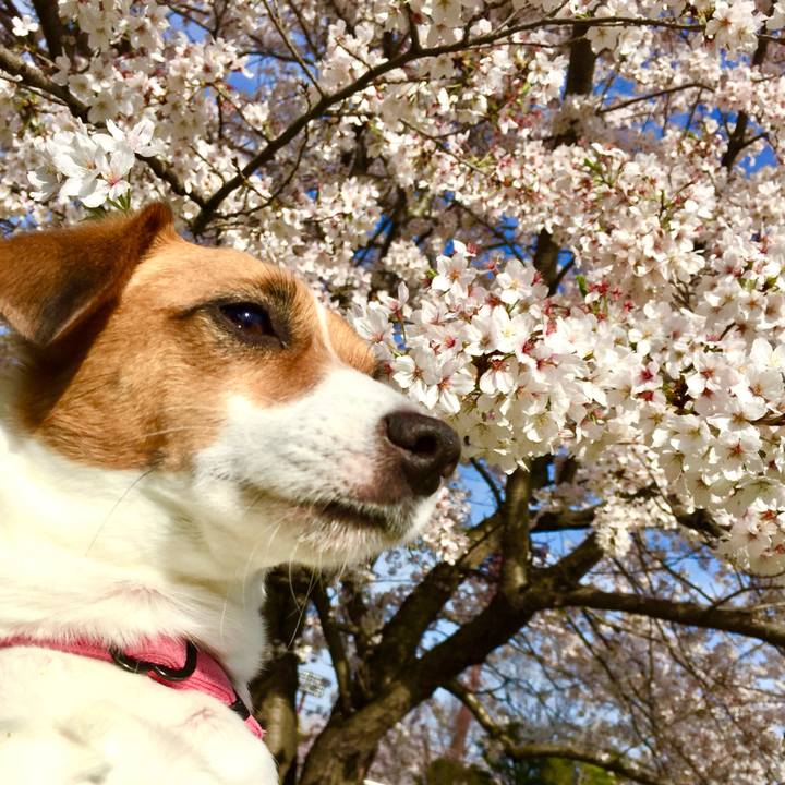 D4e04743 cc41 477e 83f7 64d72639f7f8 1743770754575