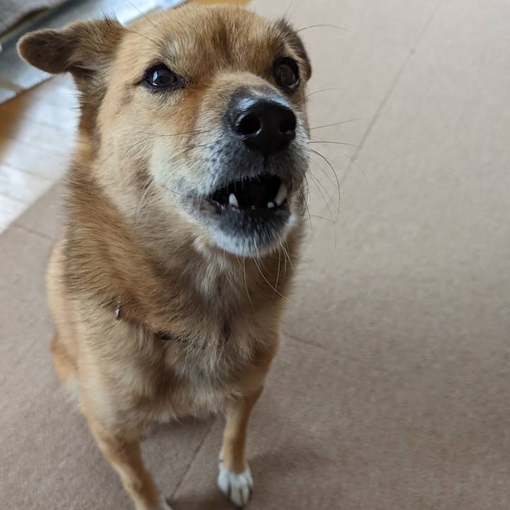 D4e08711 df75 4258 ad9b 117e21c18da6 1666613844859