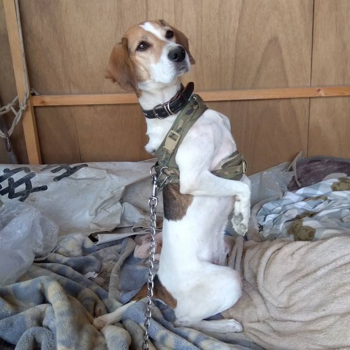 D4e0a26d a76a 4293 afff 0ba0434d09ae 1696660805702