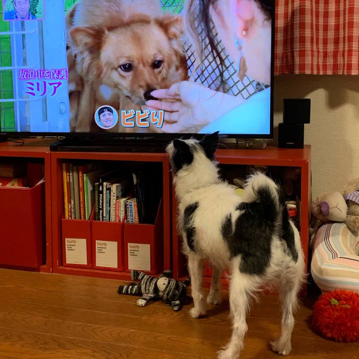 D4e0a514 26c1 47d7 92c8 877ff84529b4 1560596309596