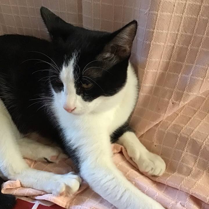 D4e0ad1a 5146 486b 8eeb 95c720c09af7 1635492357838