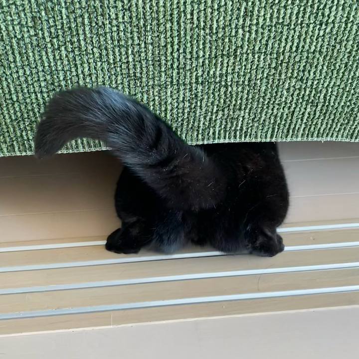 D4e12e57 29a8 4d66 a975 865e52e18187 1684733744139