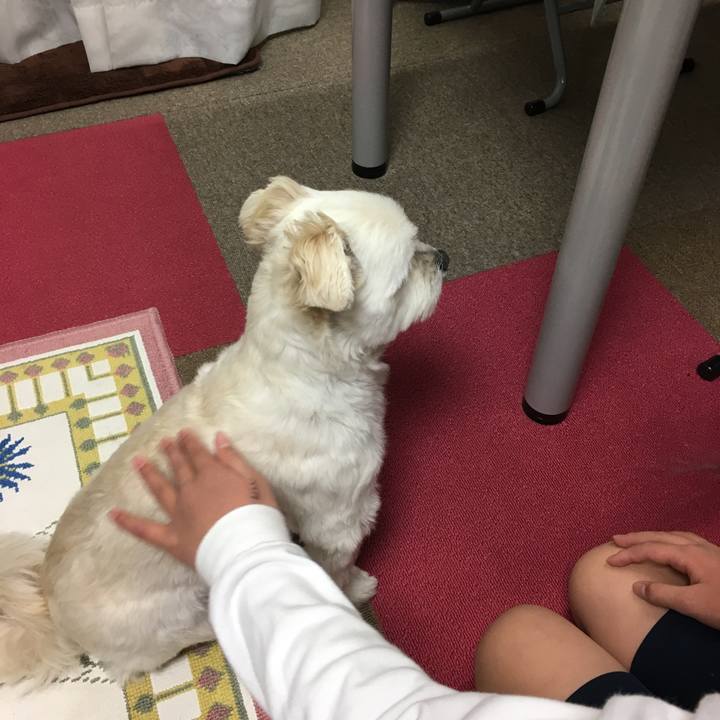 D4e12fef de3c 43ce 80ae 7f9ee477f378 1548934261998