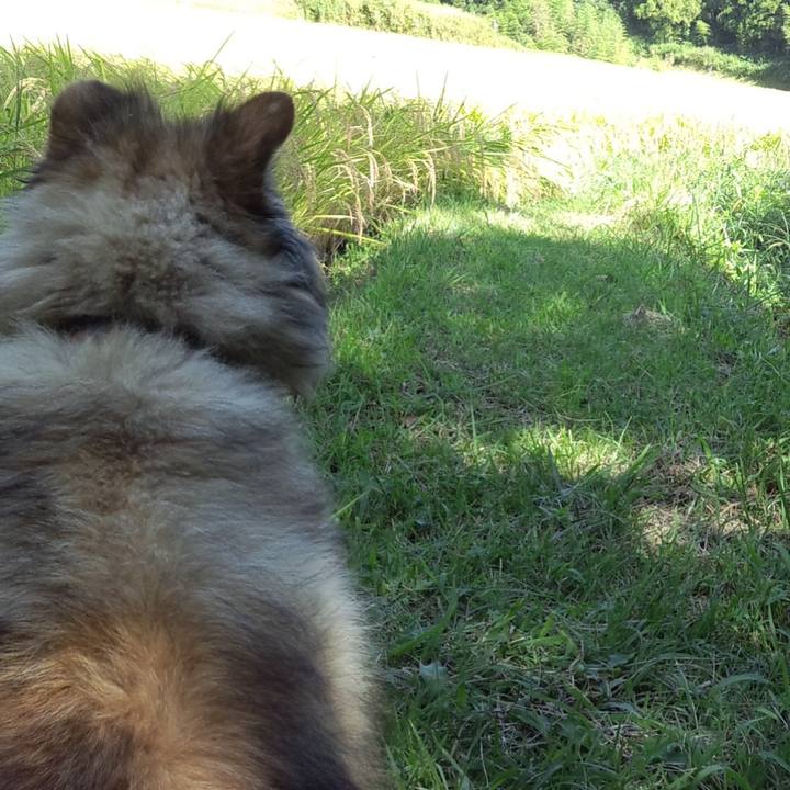 D4e13180 e788 403c b9ce 18408ba4951a 1647819637620